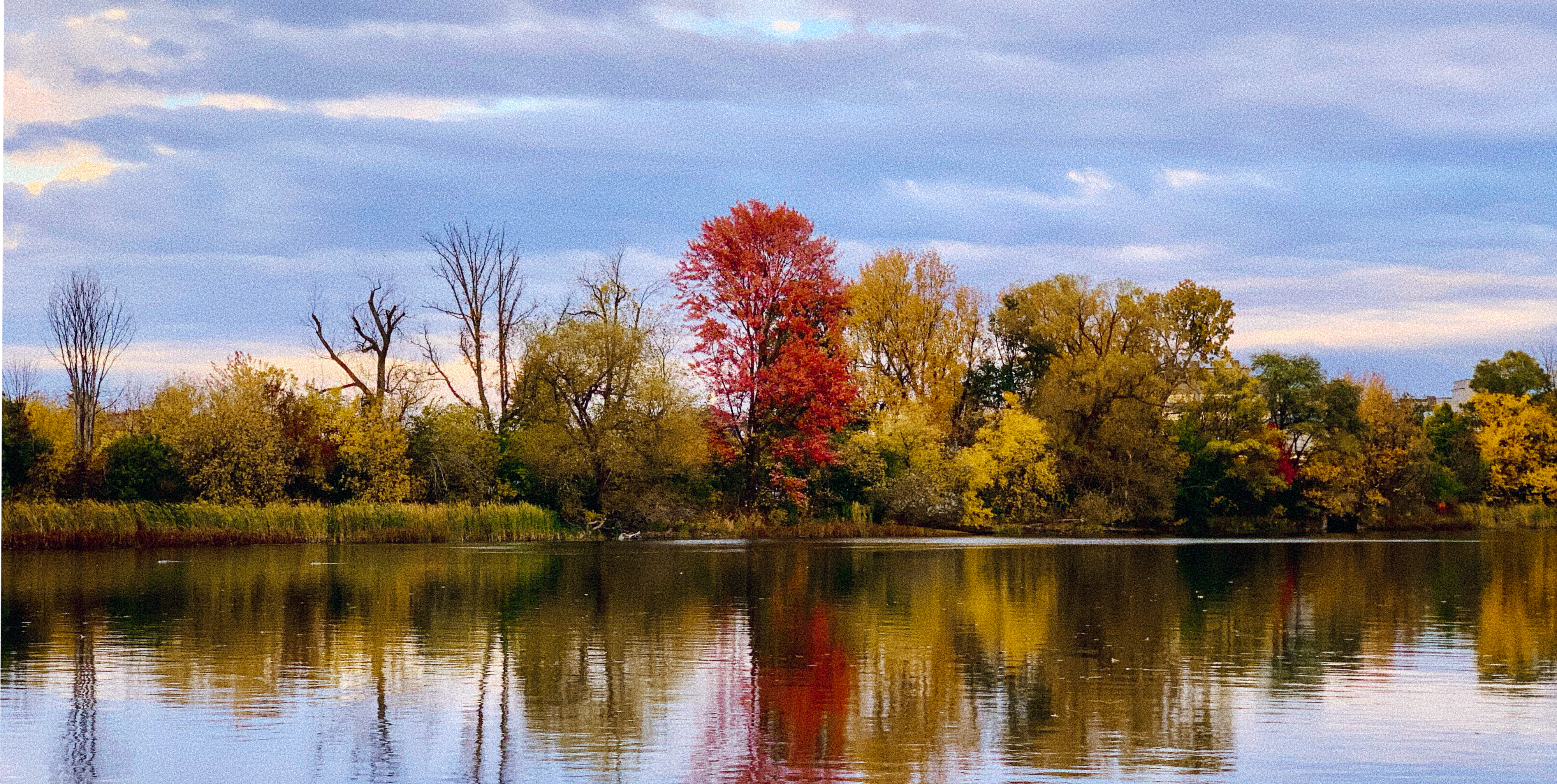 Header image for 100 Days in Canada